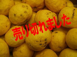 �櫓����椺