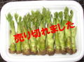 ����β�ʻ��ڡˣӡ������ѡ����������䡡����