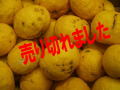 �櫓����椺
