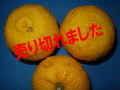 ͮ�ҡʤ椺��A