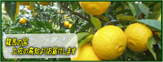 �椺��ͮ�ҡ�
